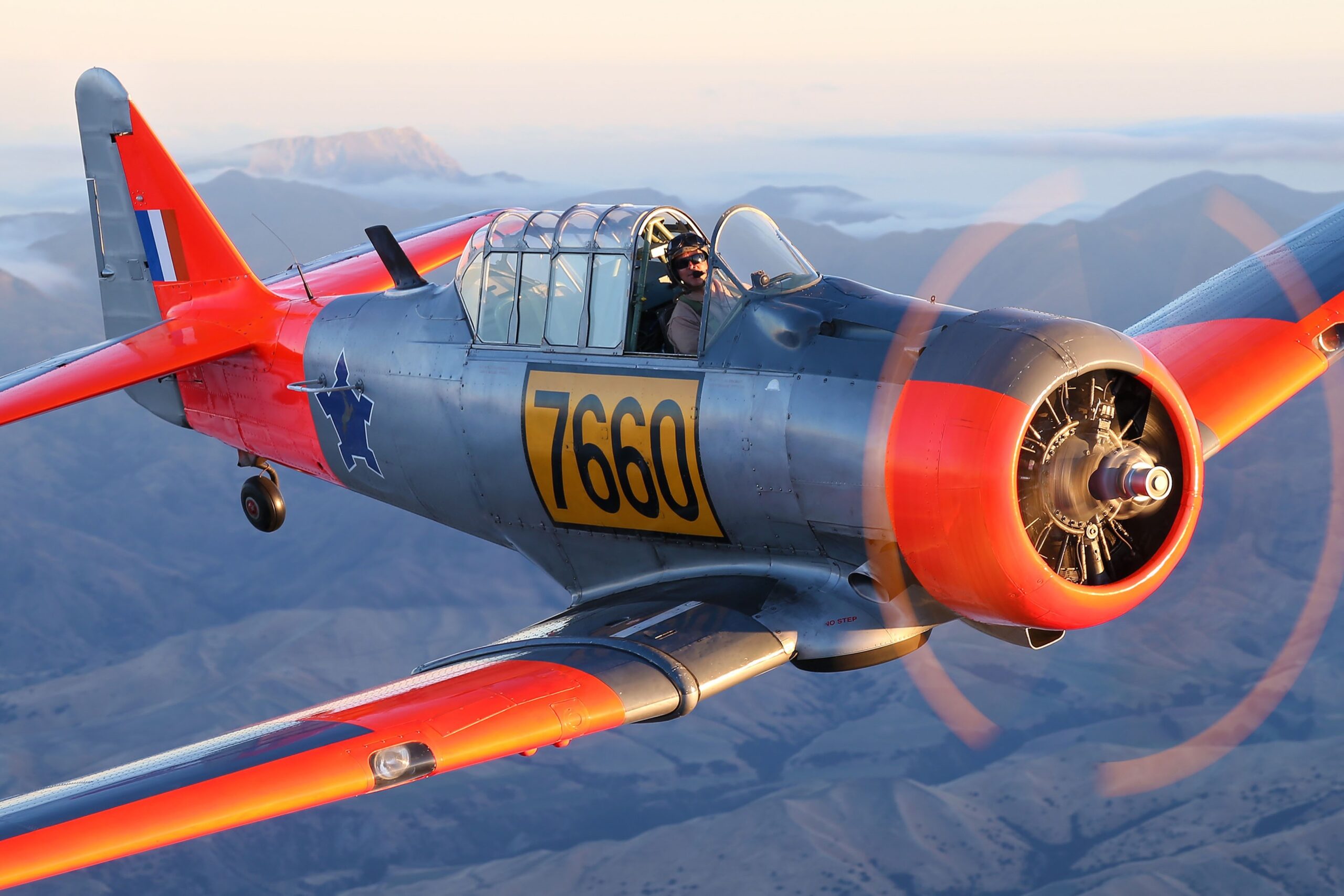 Warbirds Over Wanaka (B, D)