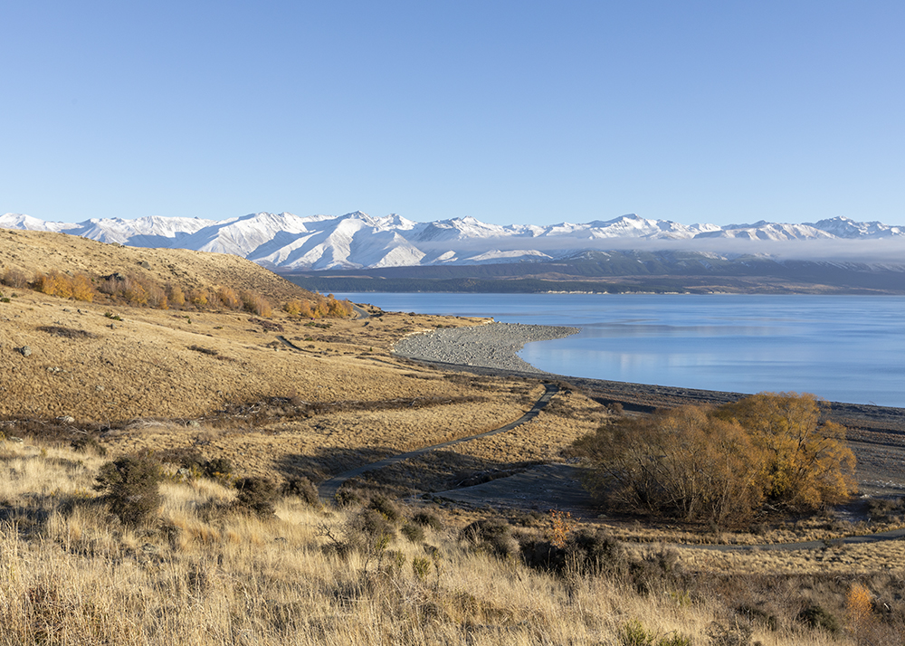 Christchurch to Mackenzie Country/Mt Cook 330km | 205mi, 4 hours 15 minutes drive time