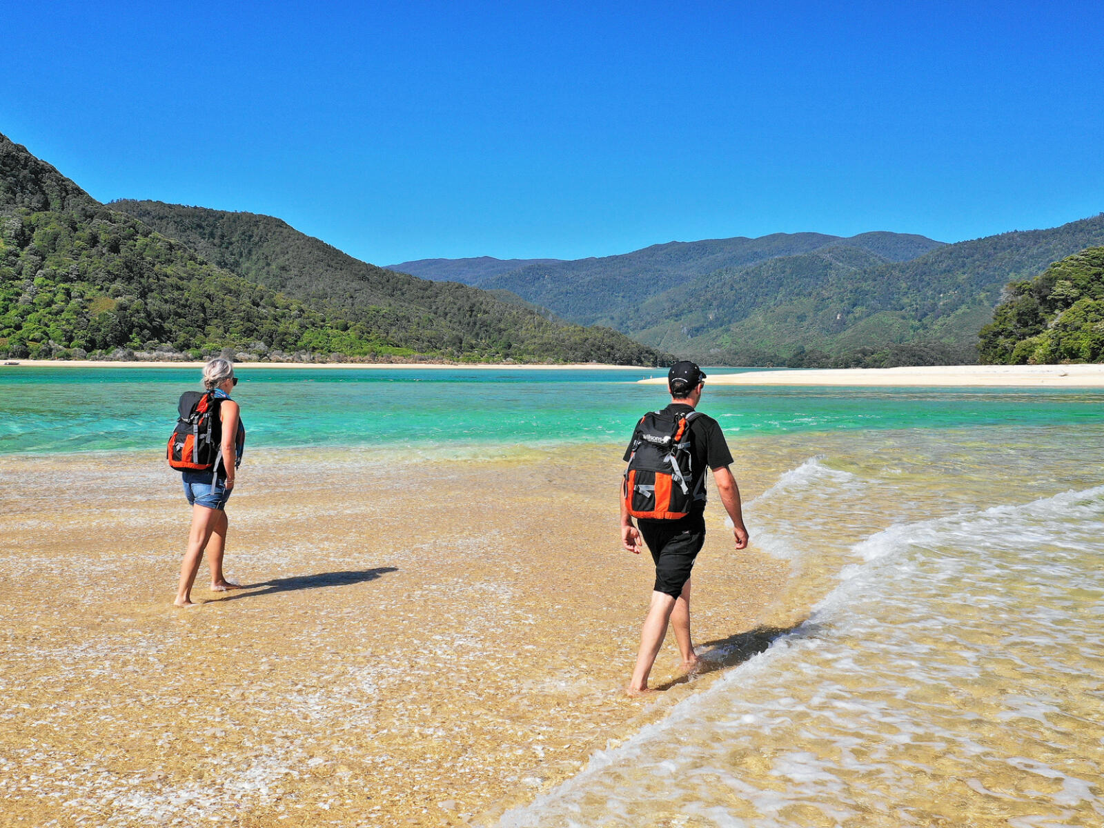 Abel Tasman national park walk