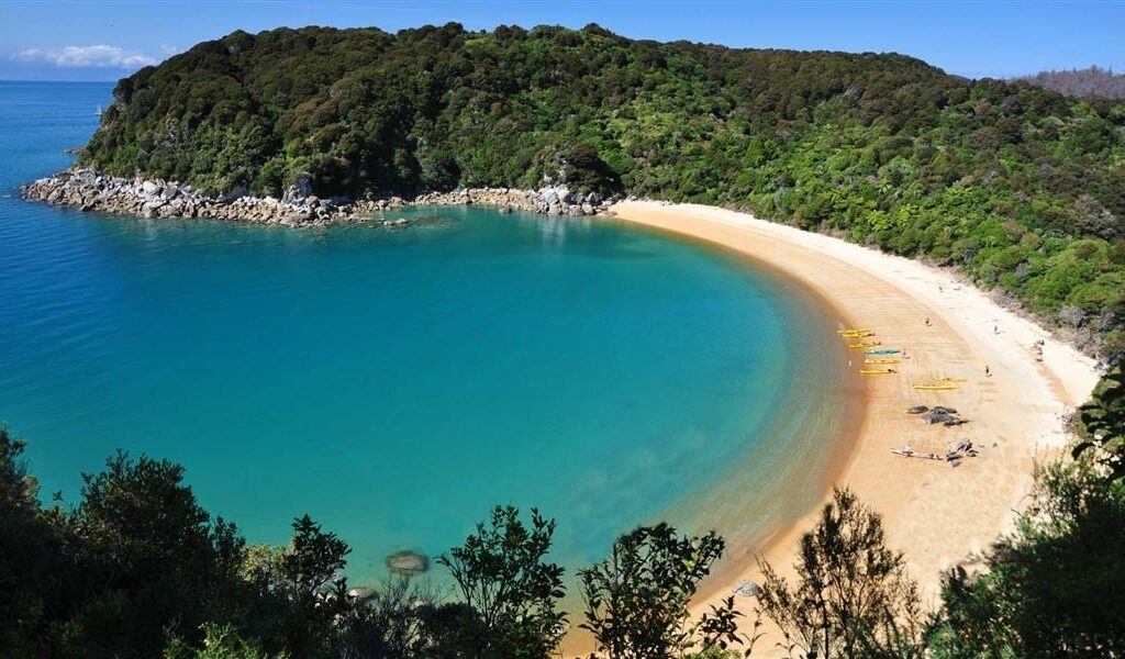 Beach in Abel Tasman national park