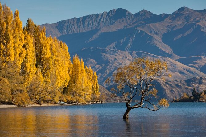 Wanaka (B)