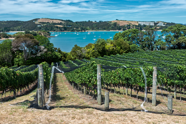 Auckland – Waiheke Island - Auckland (B,L) 