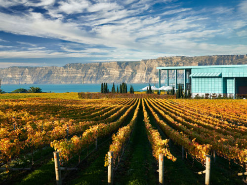 Hawkes Bay Winery with sea and local coastline in the background