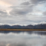 Lake Heron
