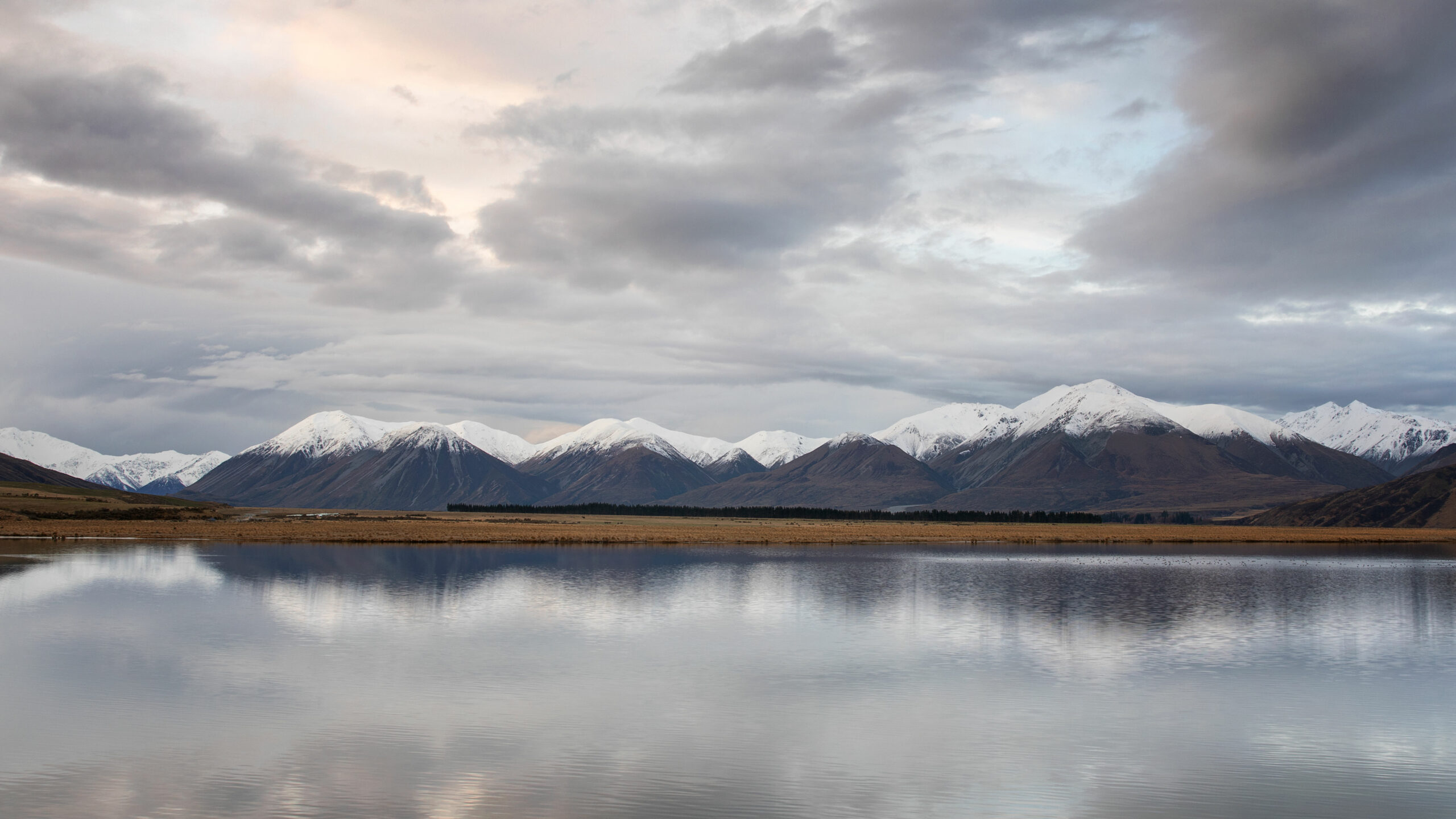 Lake Heron