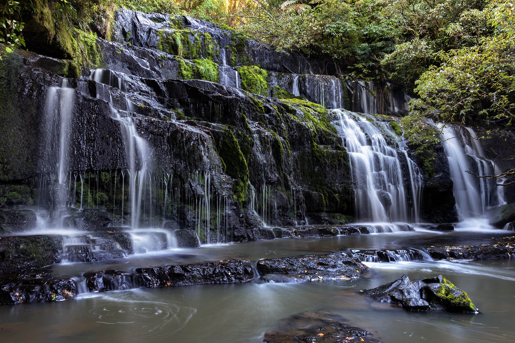 Purakanui Falls