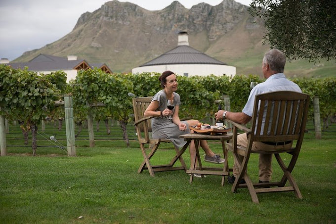 couple enjoying wine and platter in hawkes bay