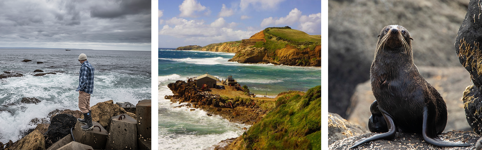 Chatham Islands - Day at Leisure (B,L)