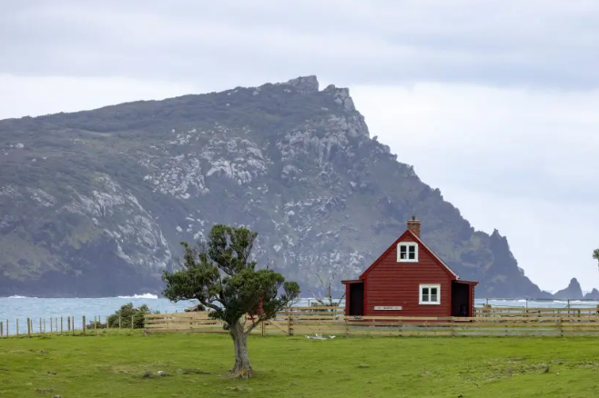 Chatham Islands - Day at Leisure (B,L)