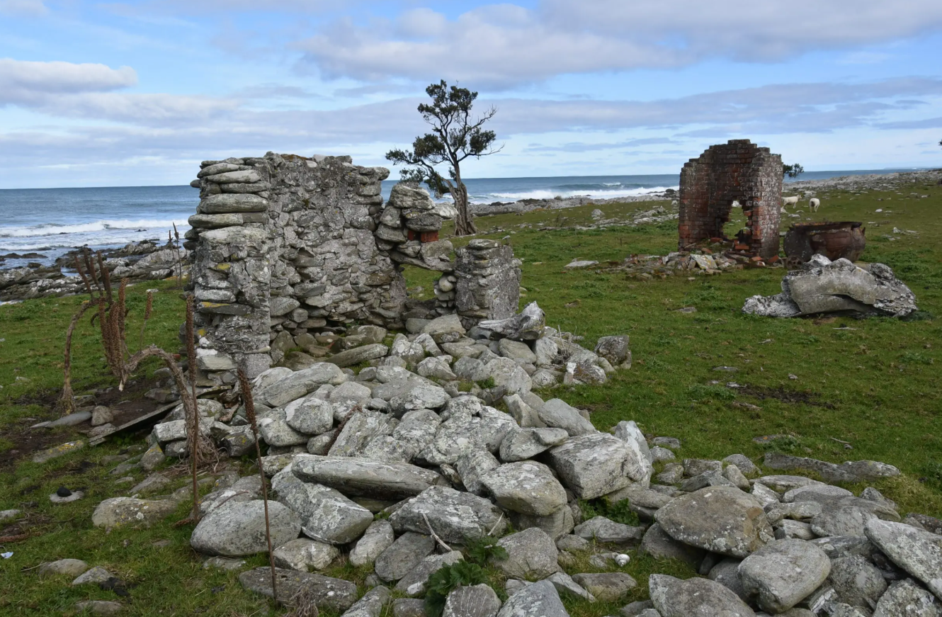 Chatham Islands - Day at Leisure (B,L)