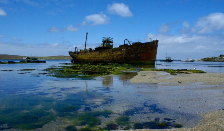 Chatham Islands - Day at Leisure (B,L)